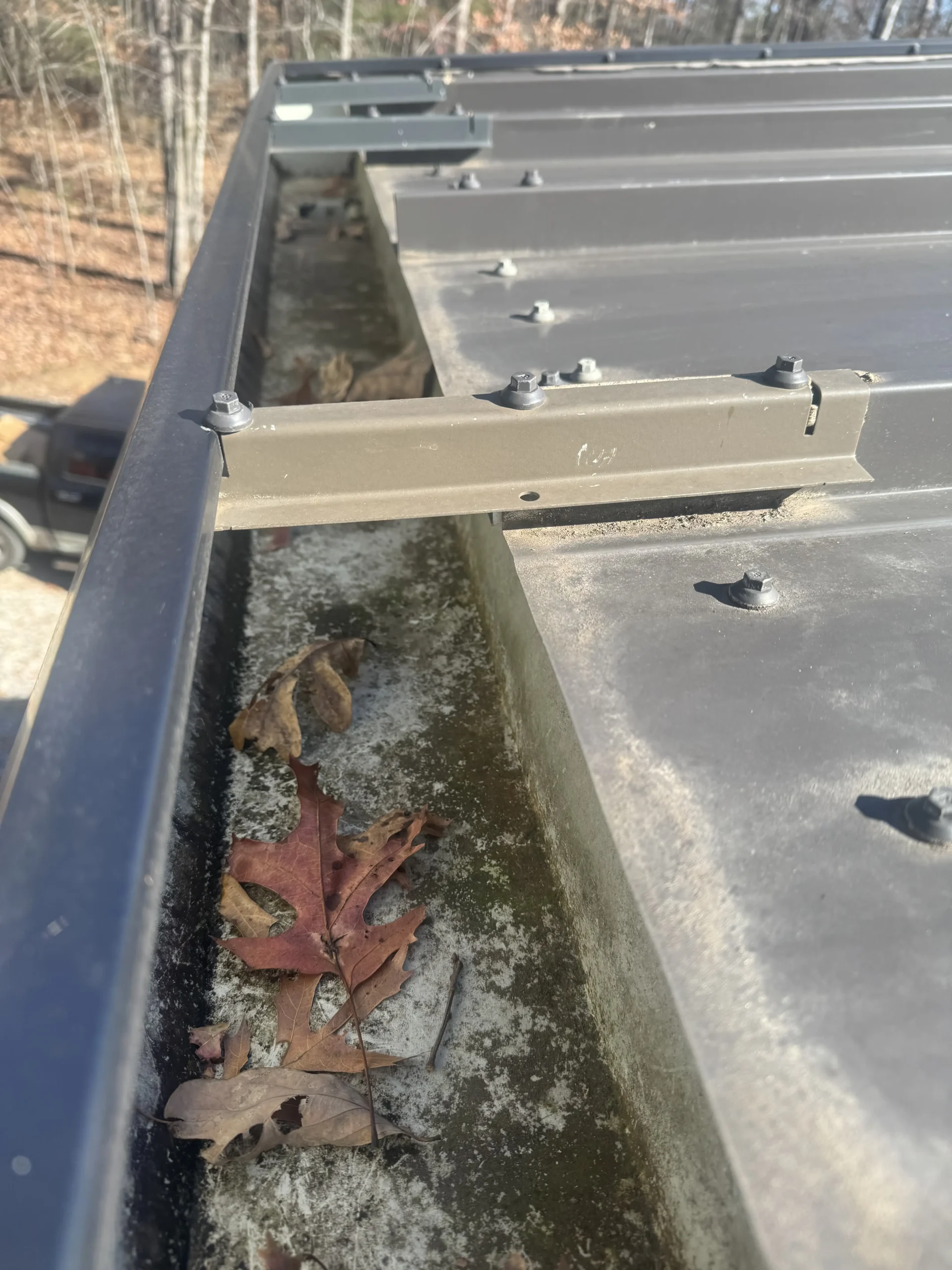 Gutter Cleaning Services