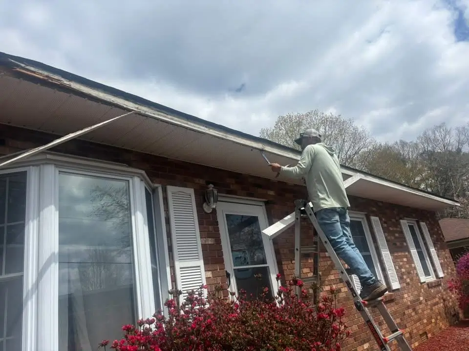 Fascia, Soffit & Trim Work